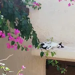 Διαμέρισμα Sini 3 *