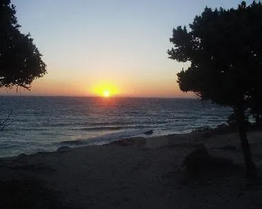 Daire Sini 3 Kéfalos