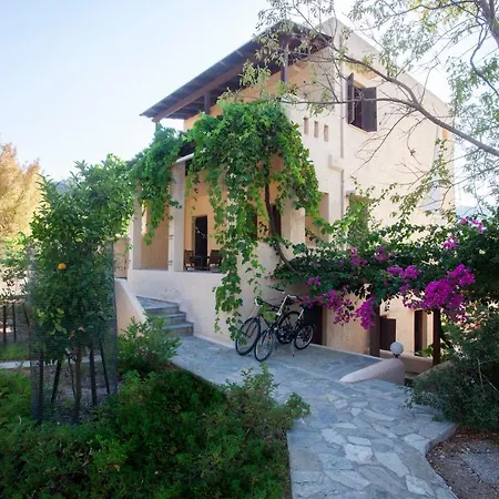 Sini 3 * Κέφαλος