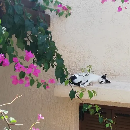 Διαμέρισμα Sini 3 *