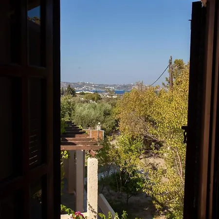 Sini 3 * Κέφαλος